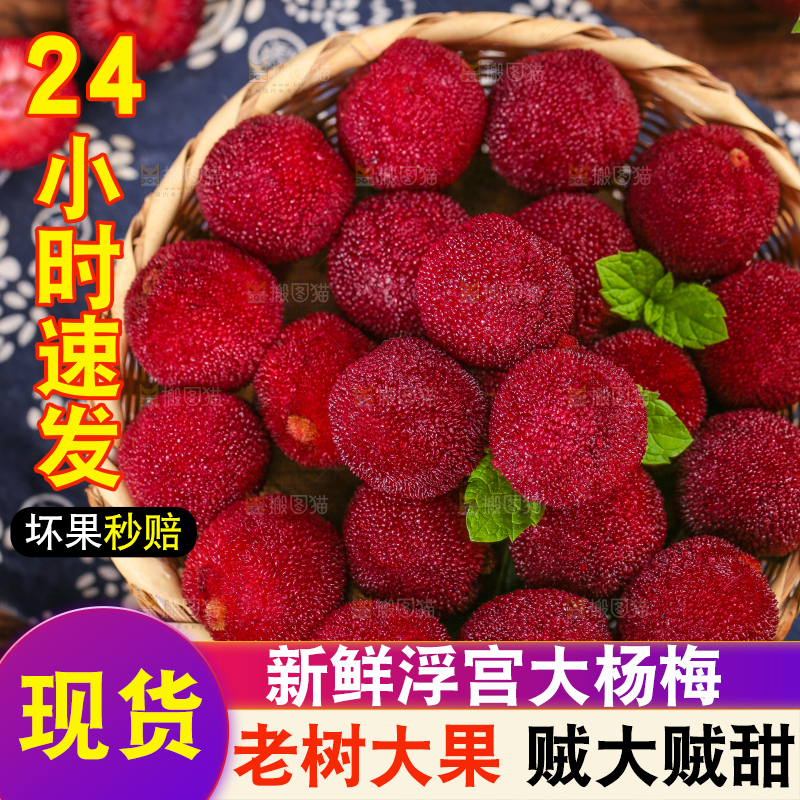 深底上放着余姚杨梅
