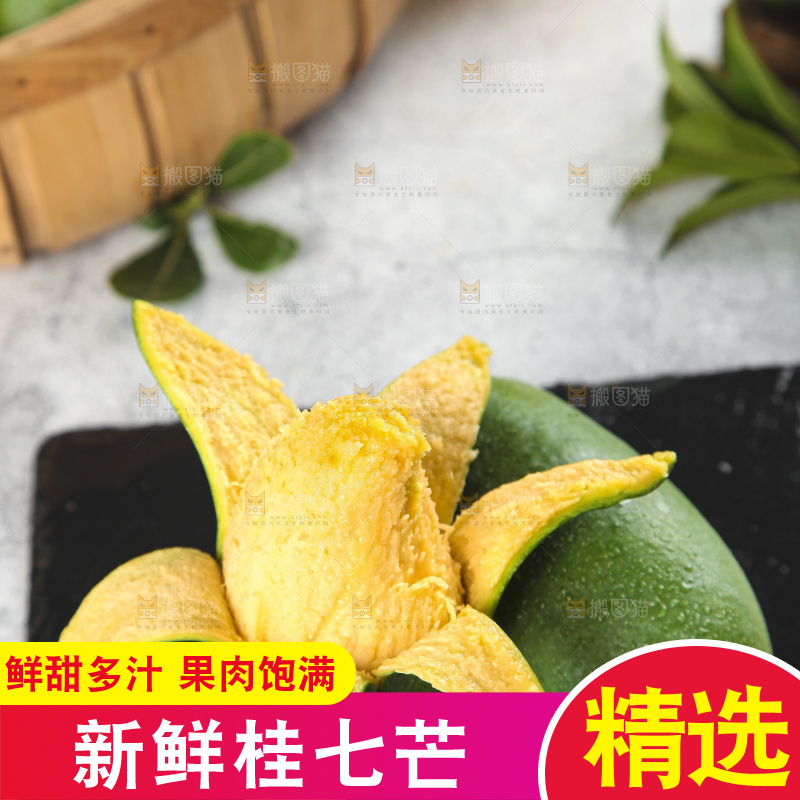石板上的青皮桂七芒