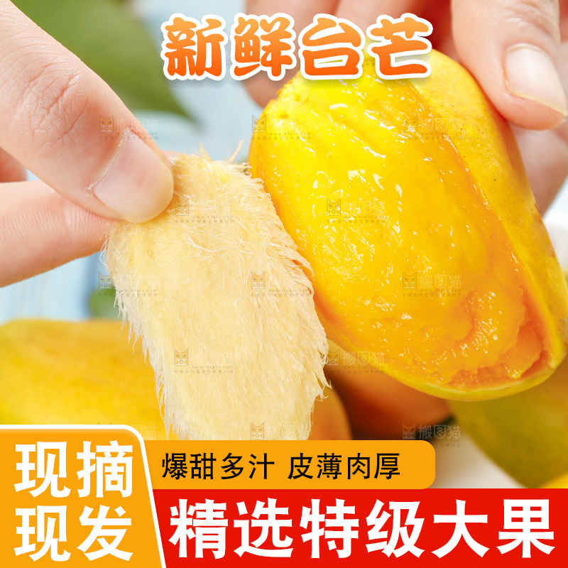 浅底上的海南小台农芒果