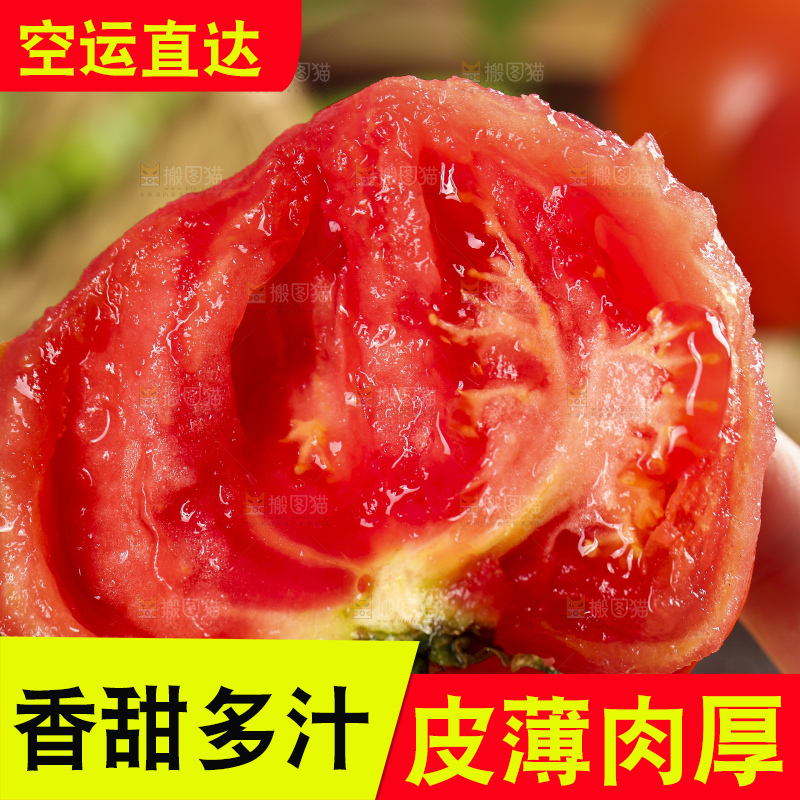 手里拿着大西红柿