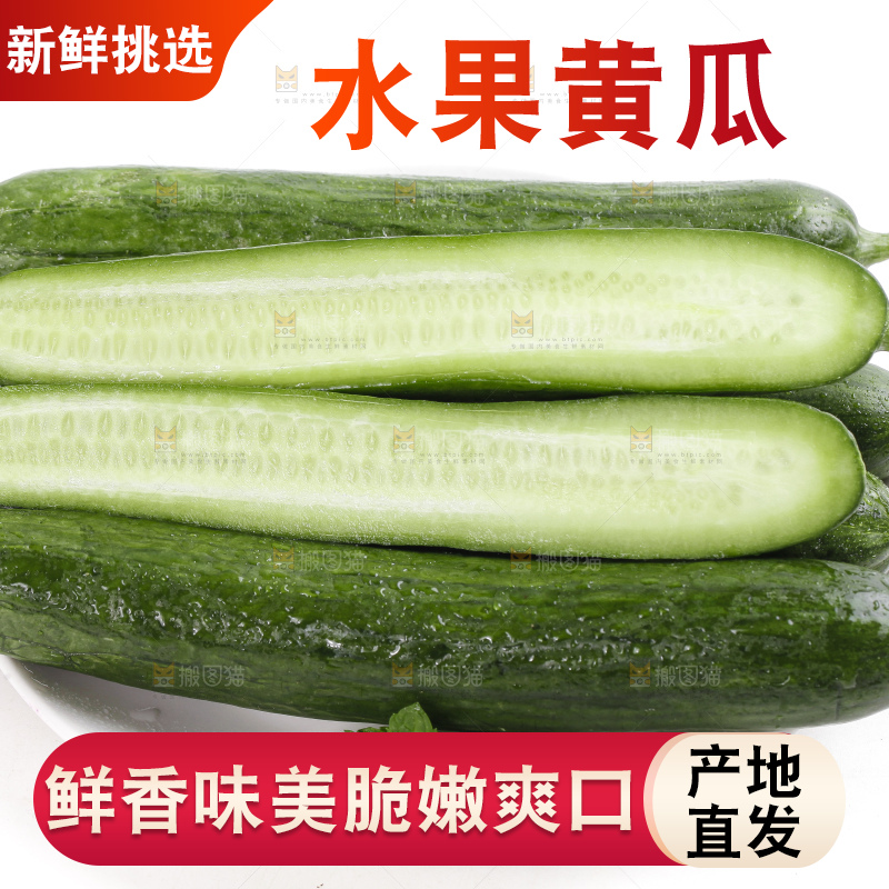 盘里装着新鲜黄瓜