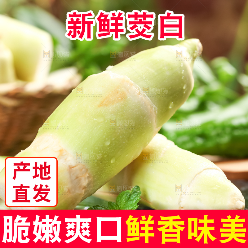 黑石板上的云南茭白