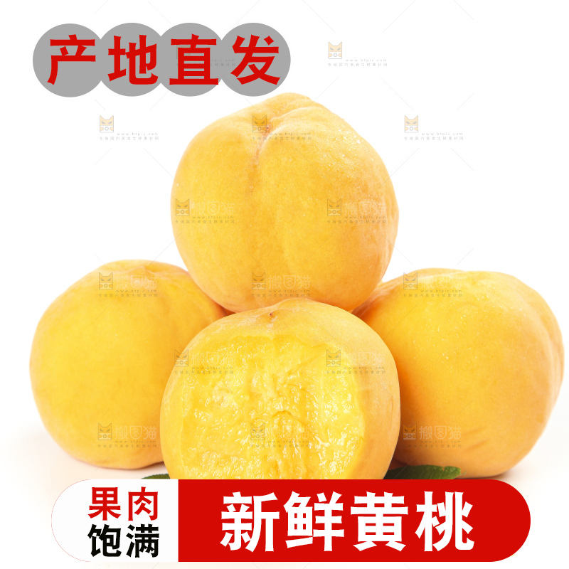 白底上的黄肉桃