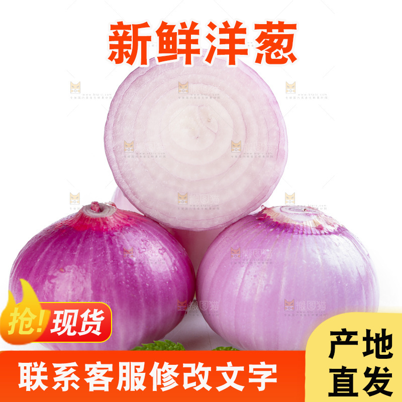 白底上的新鲜洋葱