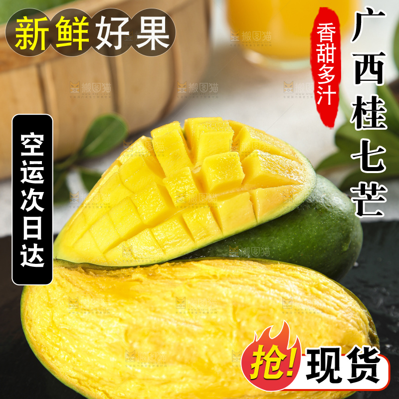 石板上的青皮桂七芒