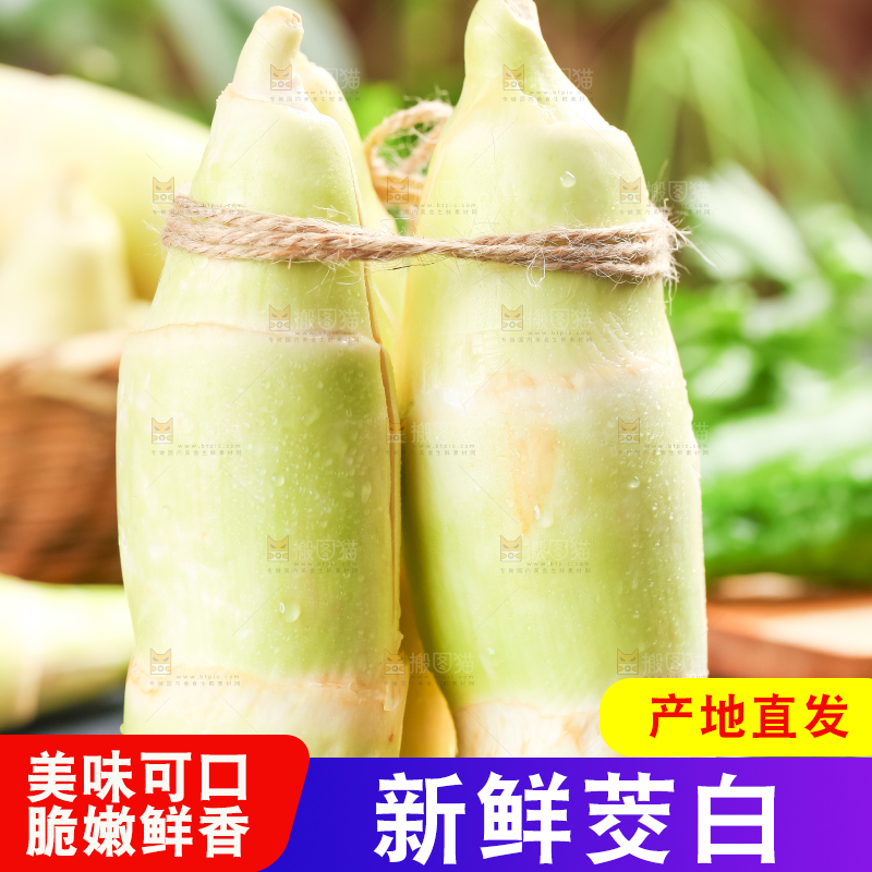 石板上的云南茭白