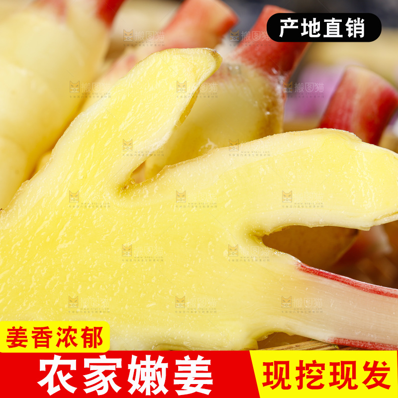 木板上的红芽嫩仔姜