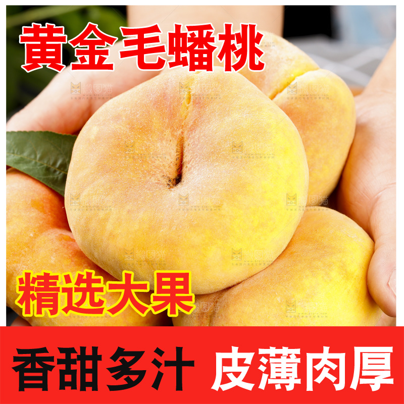 黑底上的毛蟠桃