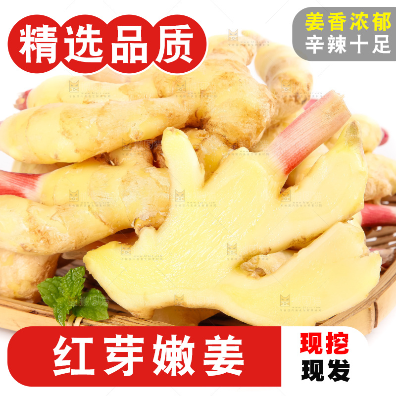 白底上的红芽姜