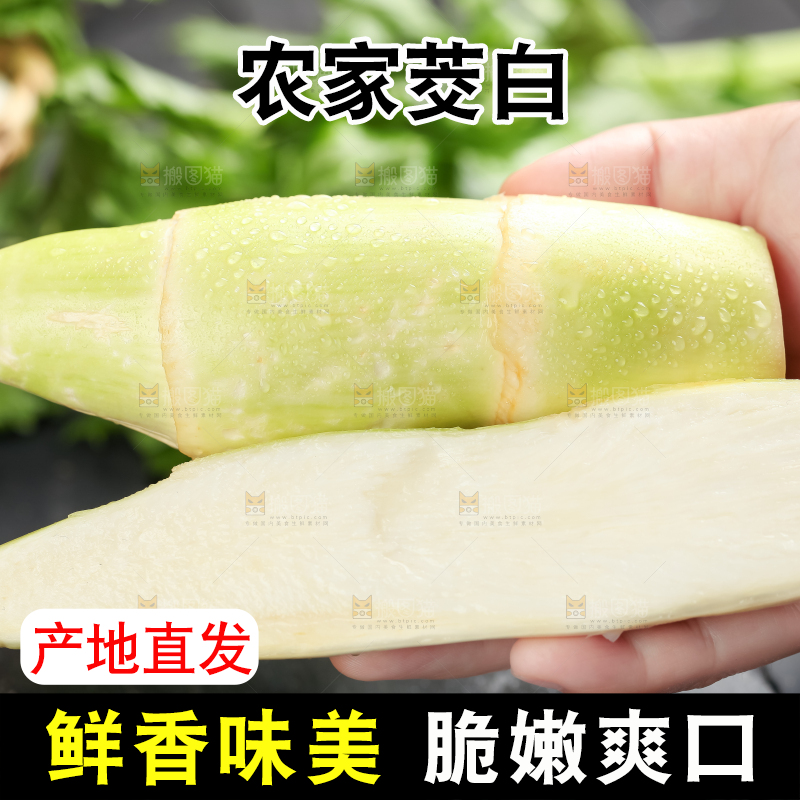 手里拿着湖北新鲜茭白