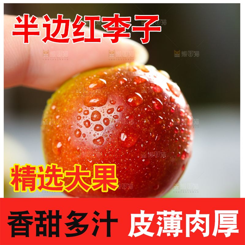 手里拿着脆红李