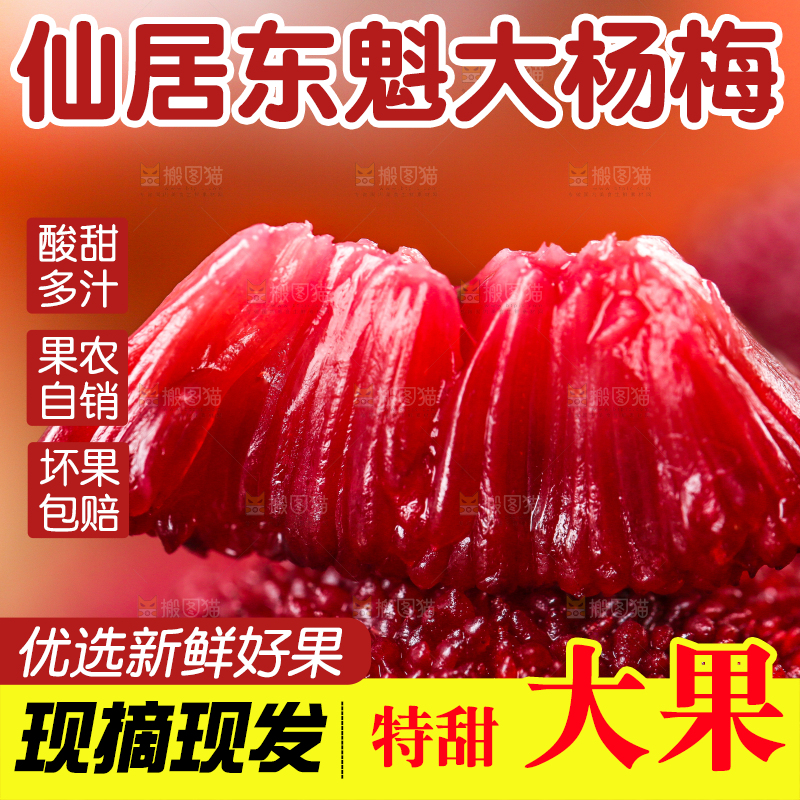 深底上放着余姚杨梅