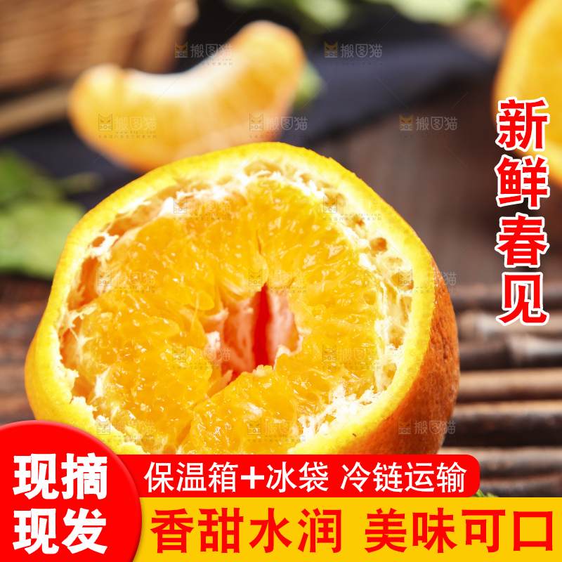 木板上的春见耙耙柑