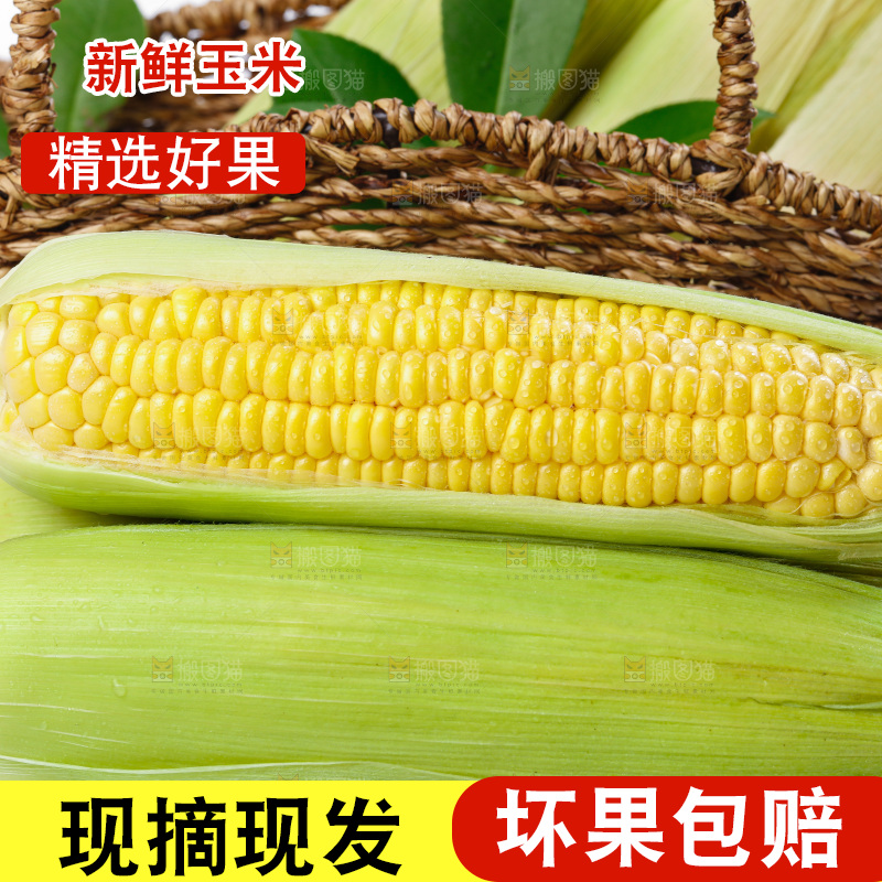 篮子子装着玉米棒