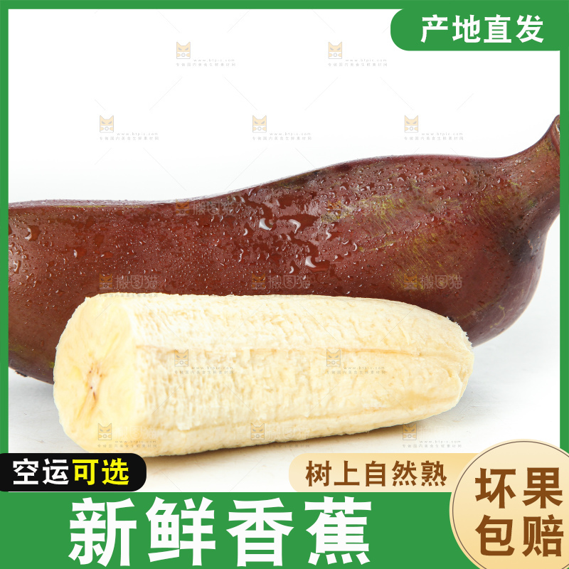 白底上的红皮美人蕉