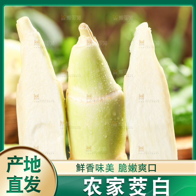 石板上的云南茭白