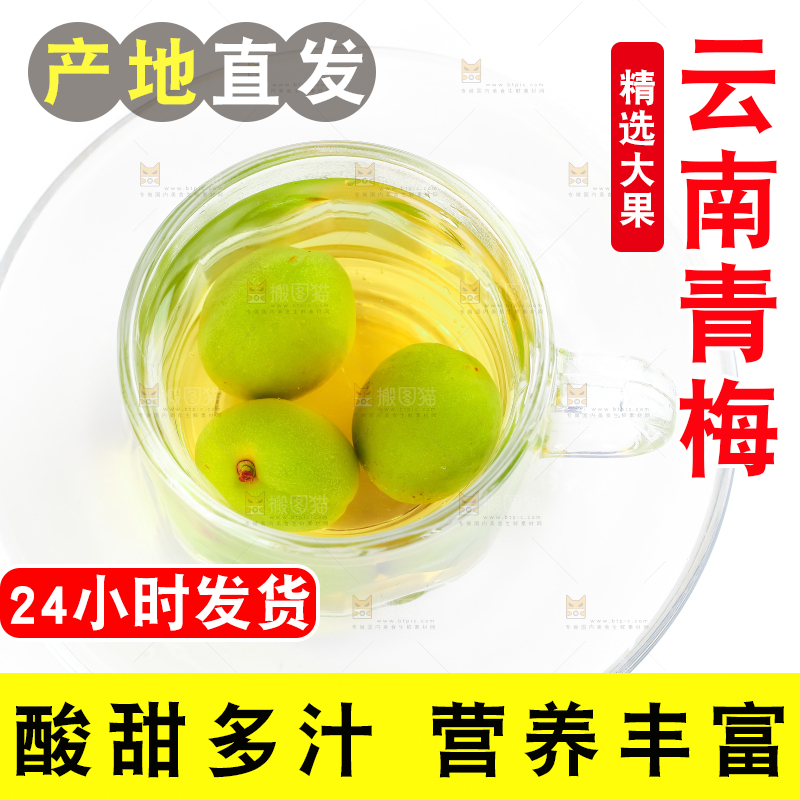 白底上的诏安青梅
