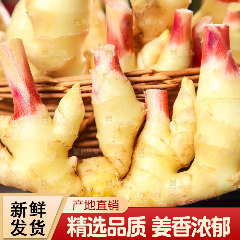 手里拿着嫩姜
