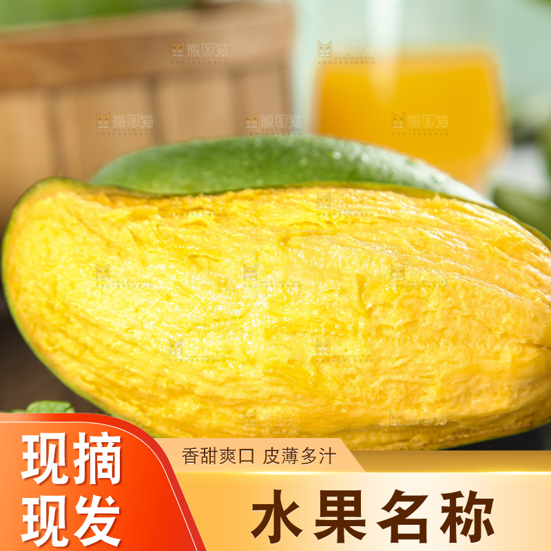 石板上的青皮桂七芒