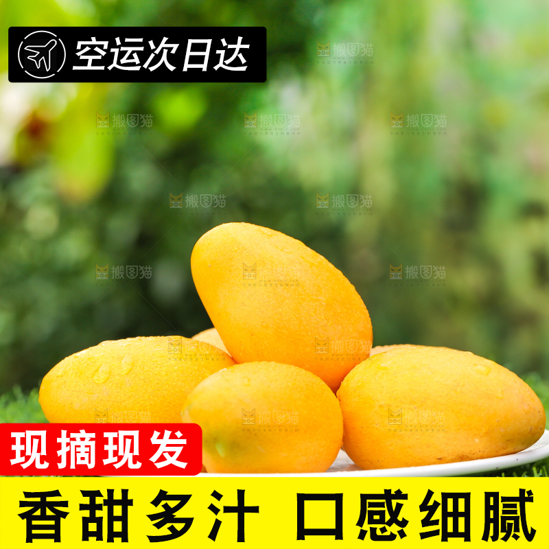 盘子里的小台农芒果