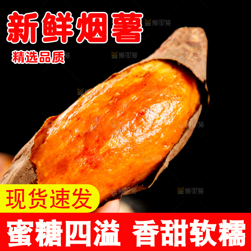 黑底上的山东烟薯