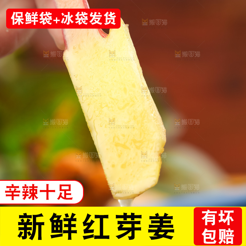 手里拿着新鲜生姜