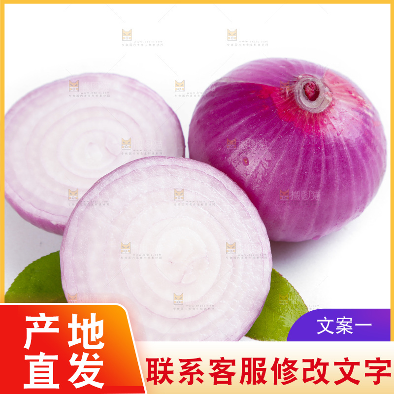 白底上的新鲜洋葱