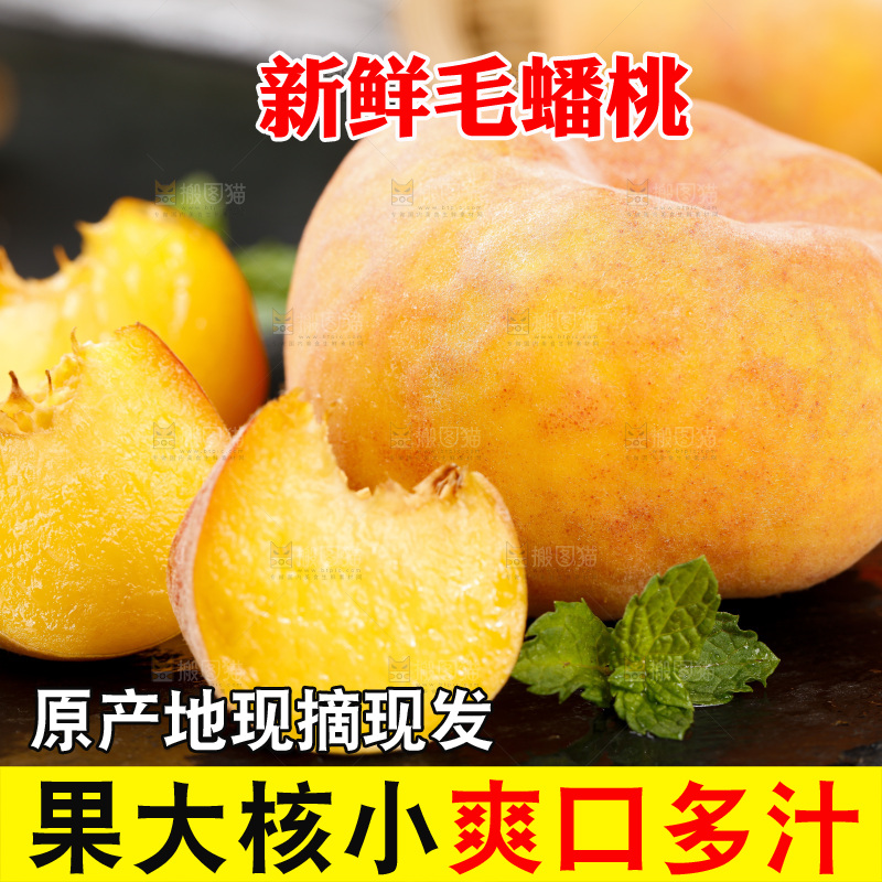 黑底上的毛蟠桃