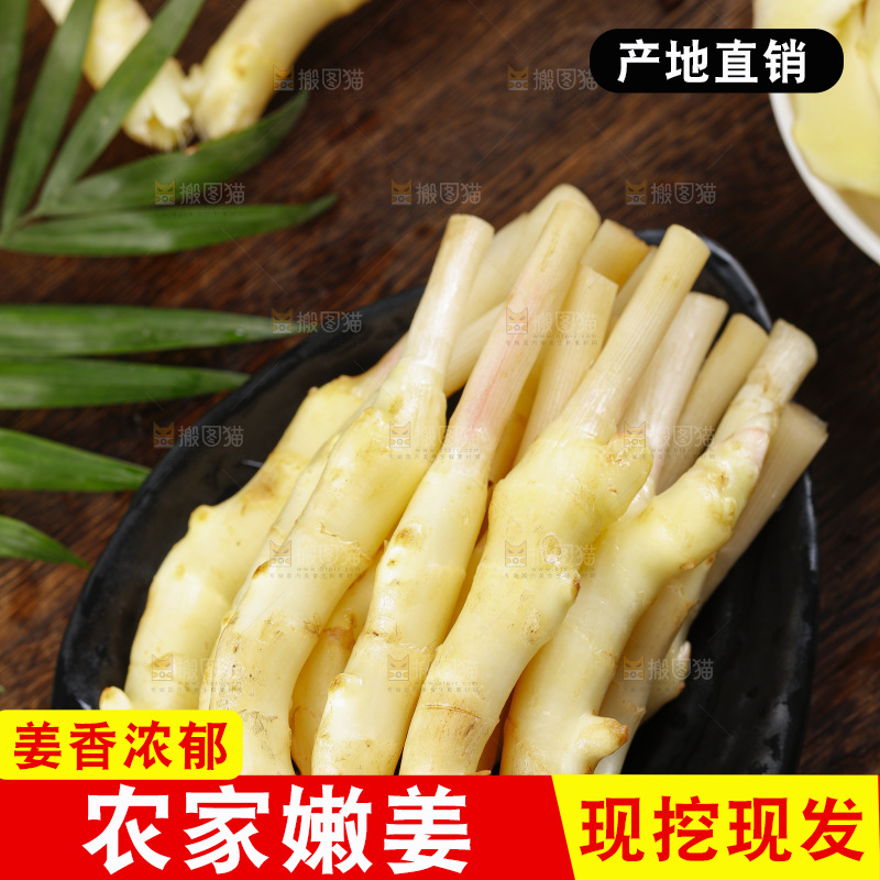 深底上的新鲜生姜