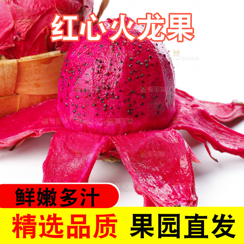 白底上摆放着金都一号火龙果