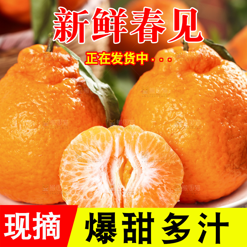 深底上放着春见橘柑