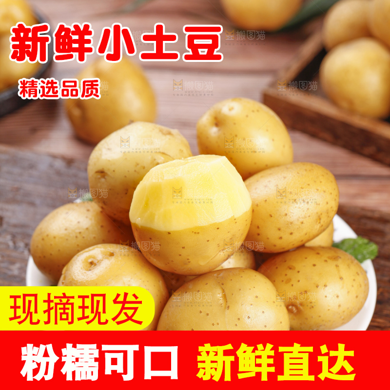深底上的宜昌小土豆