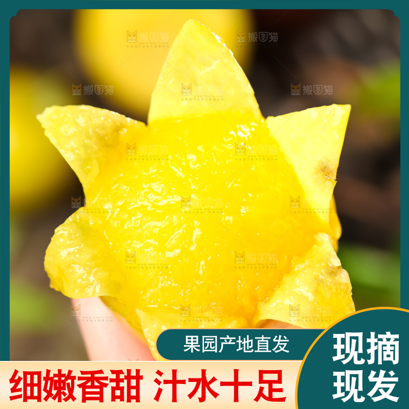 手里拿着黄金奈李