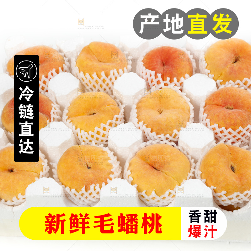 箱子里的蒙阴毛蟠桃
