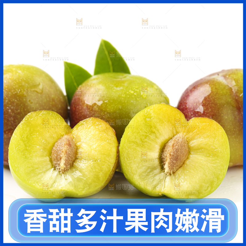 白底上的四川茵红脱骨李