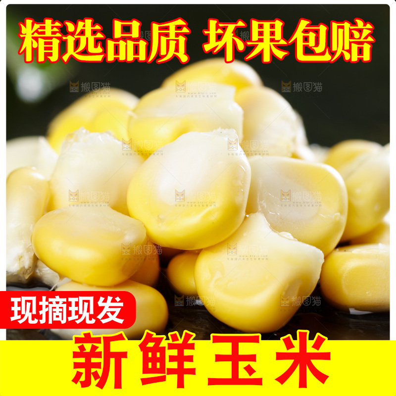 石板上放着玉米粒