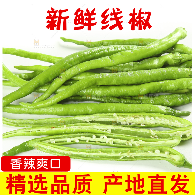 白底上的新鲜青辣椒