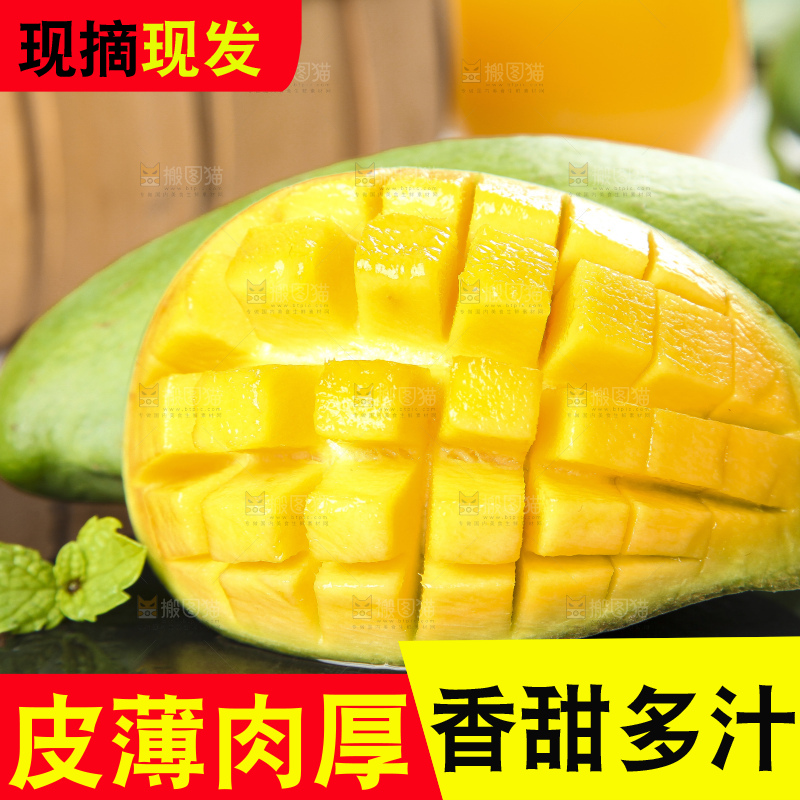 石板上的青皮桂七芒