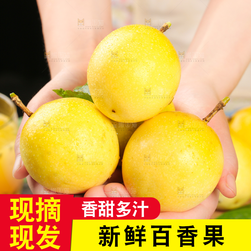 手里着福建黄金百香果