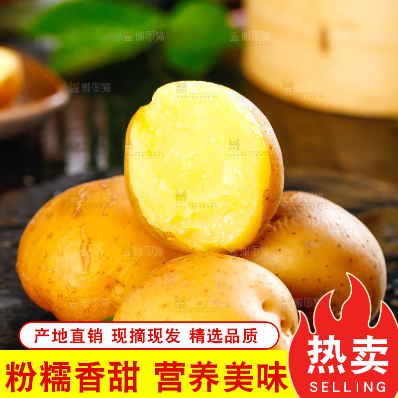 黑石板上的黄心小土豆