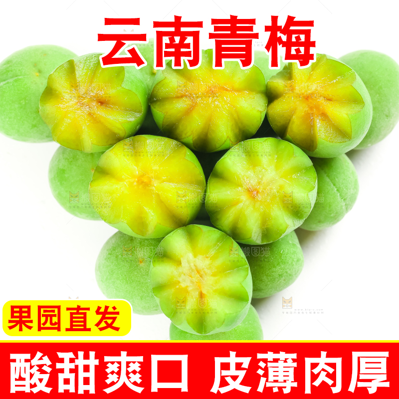 白底上的诏安青梅