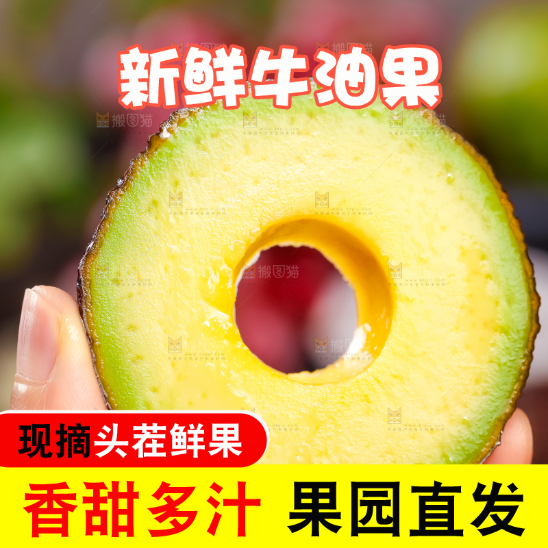 浅底上的巨无霸牛油果