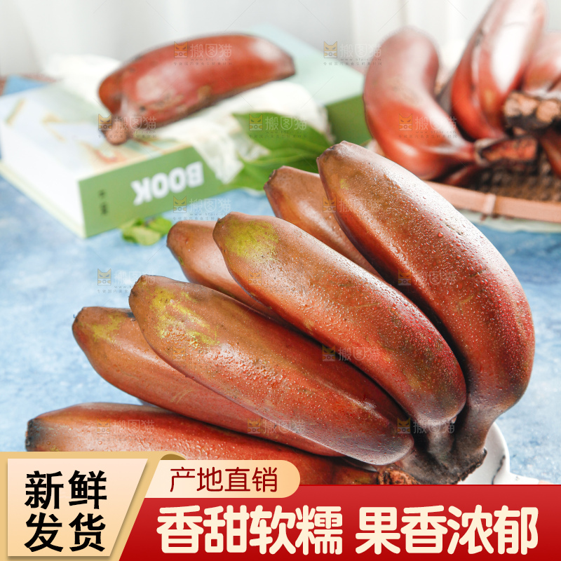 蓝底上摆放着红皮美人蕉