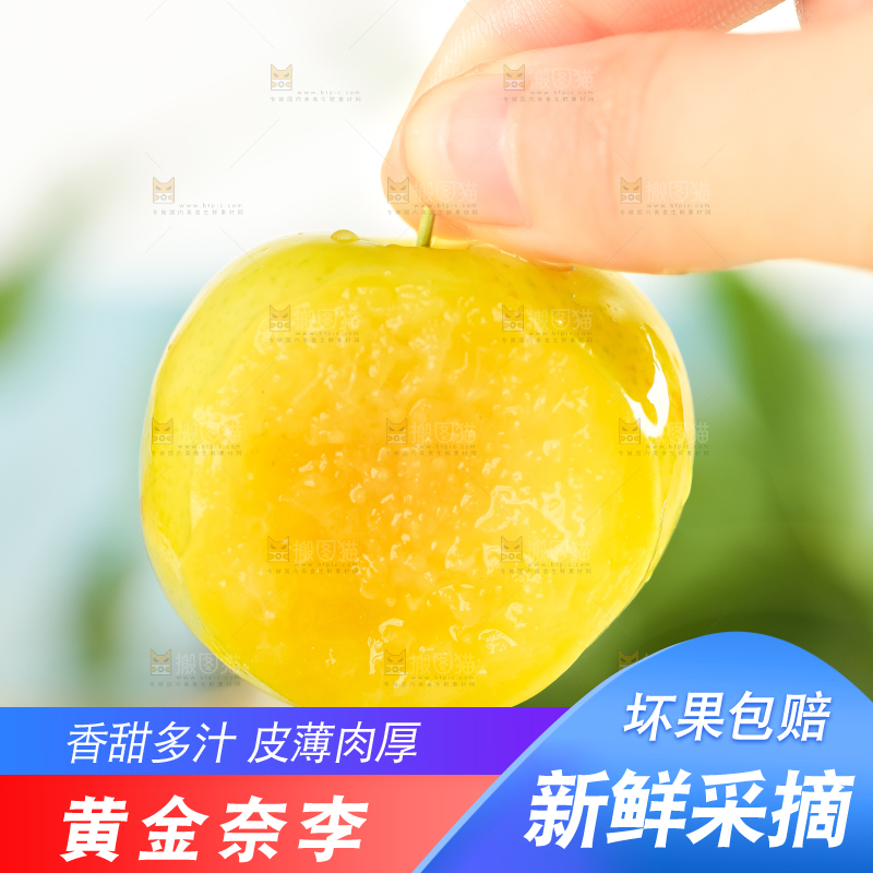 手里拿着新鲜黄金奈李