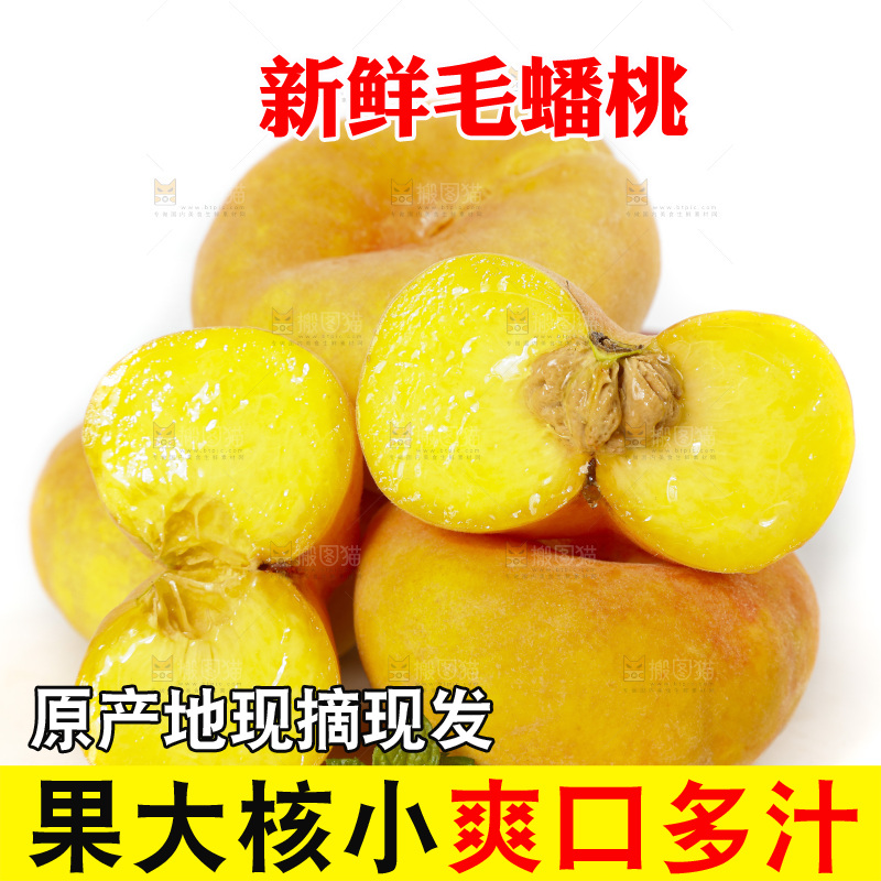白底上的蒙阴毛蟠桃