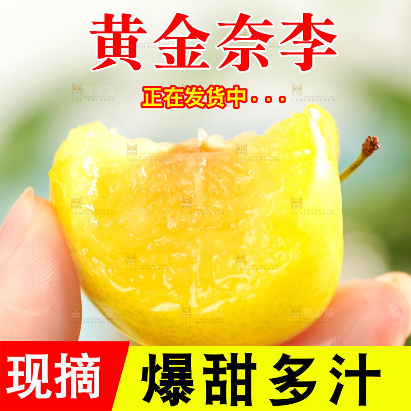 手里拿着新鲜黄金奈李