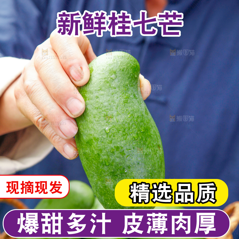 篮子里装着田东桂七芒