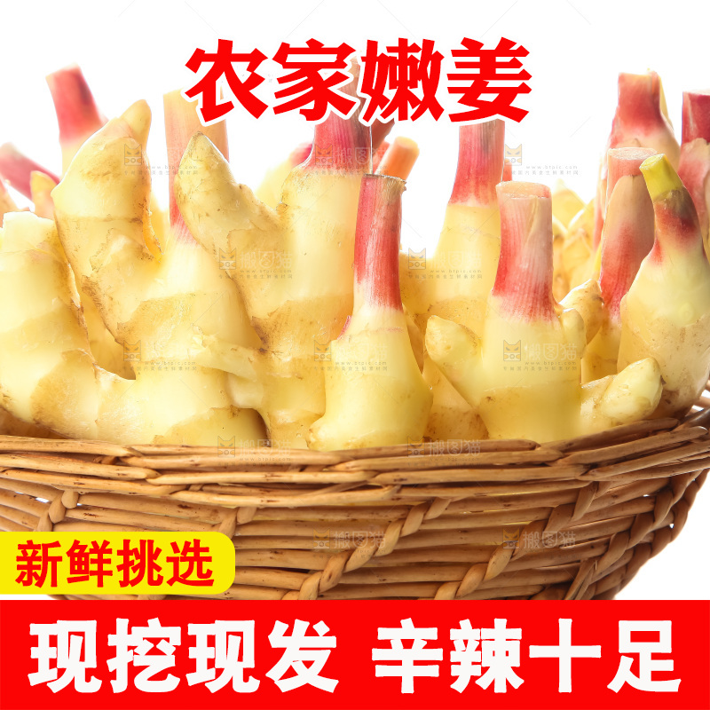 白底上的红芽嫩姜