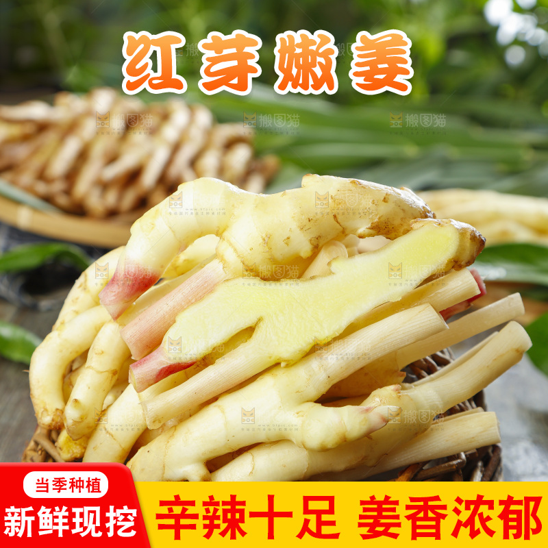 篮子里装着新鲜嫩姜