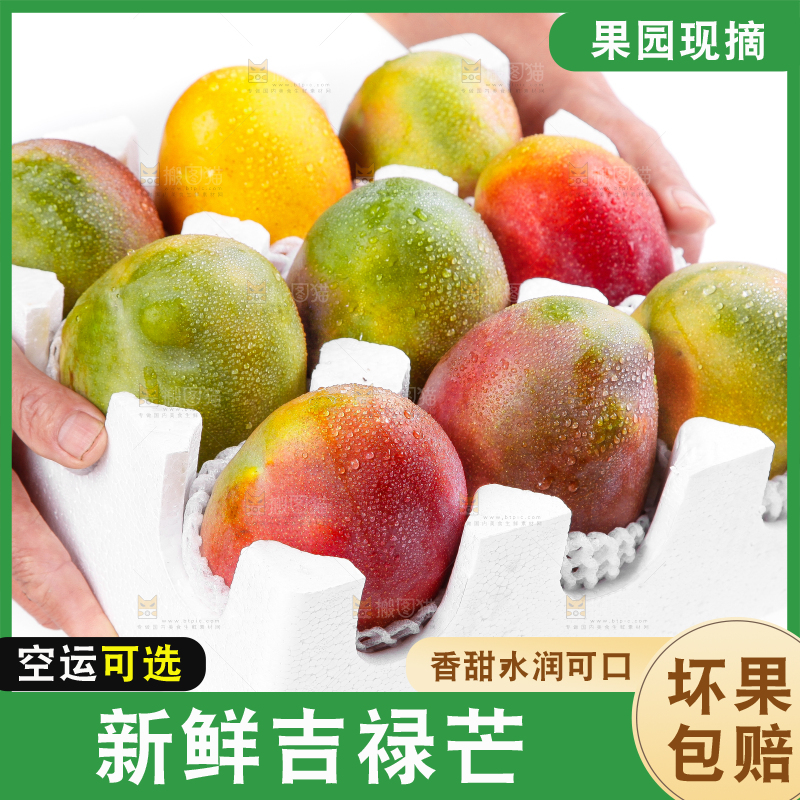 箱子里装着吉禄芒